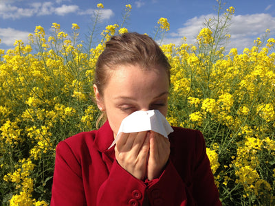 Allergiker und der Frühling